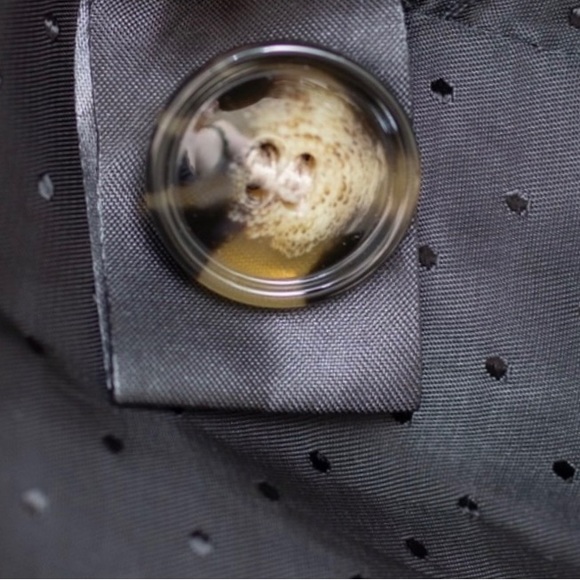 H&M size 6 tan w black trim & lining belted w back overlay button up trench coat - Picture 13 of 16